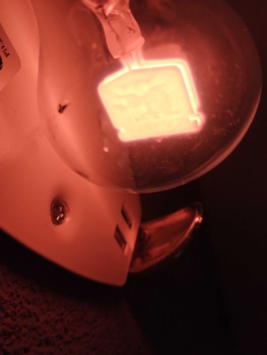 Колекционерска крушка