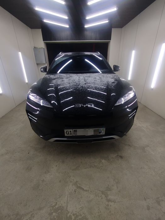 BYD chipiyon 2024 yil