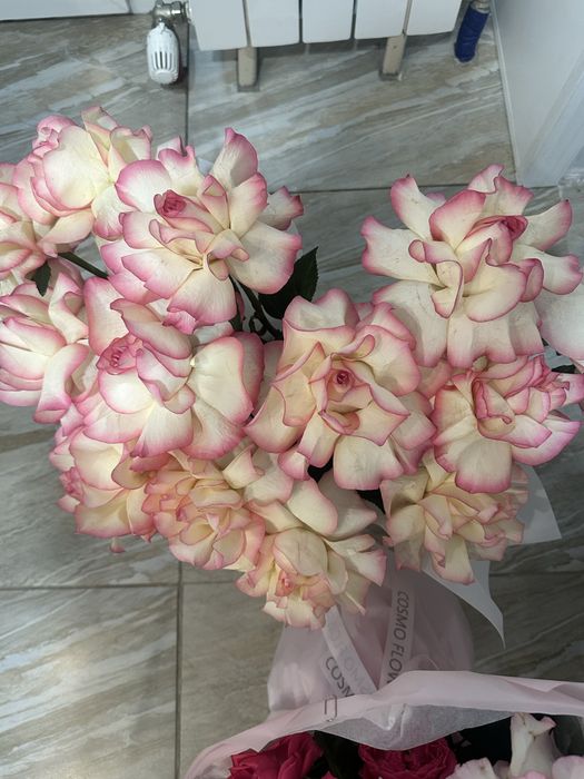 Продам цветы свежие