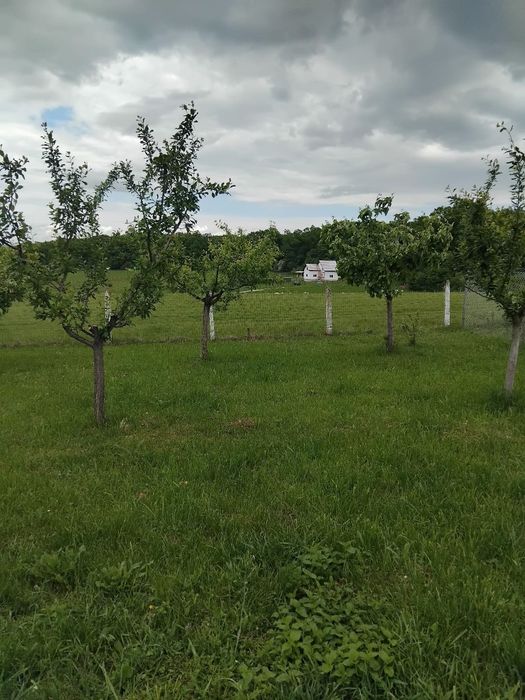 Vind parcela teren  703 mp