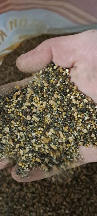 З.отход Пшеничный. Лузга Овсяные навалом