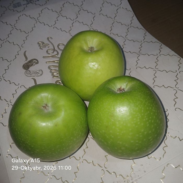Яблоко Грин Смит