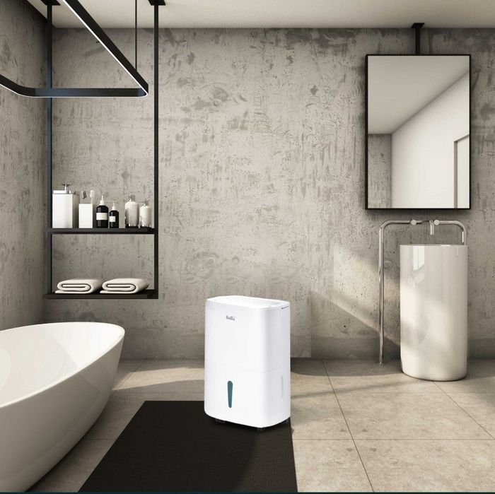 Аренда, Прокат осушитель воздуха