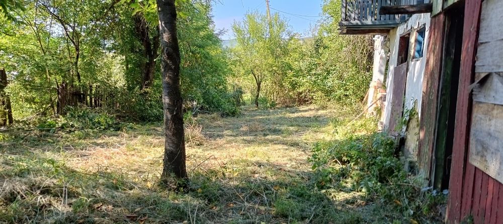 Casa și terenuri de vânzare