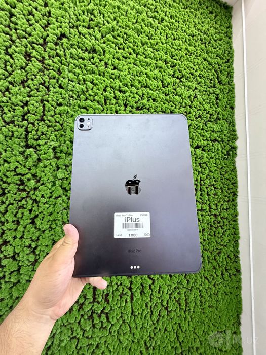 iPad Pro M4 13 inc