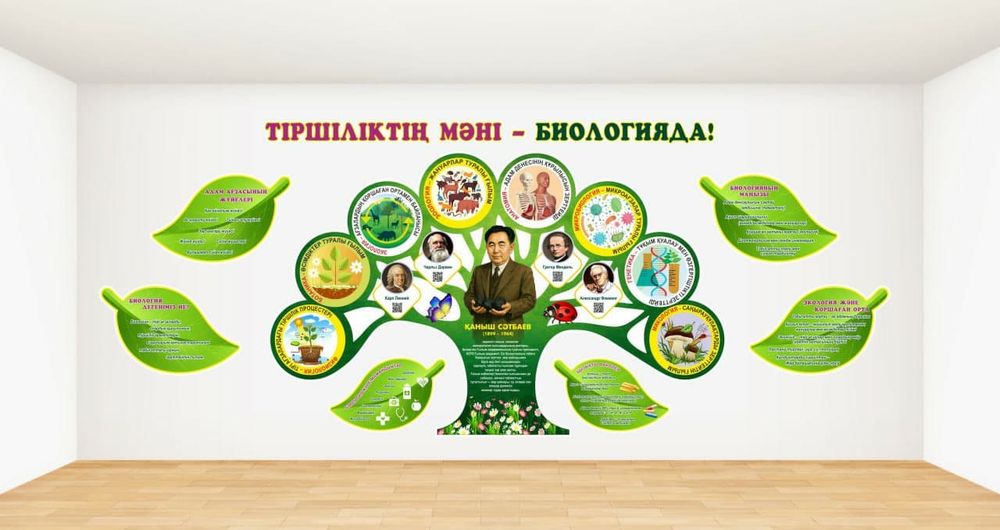 Стенд / баннер /
