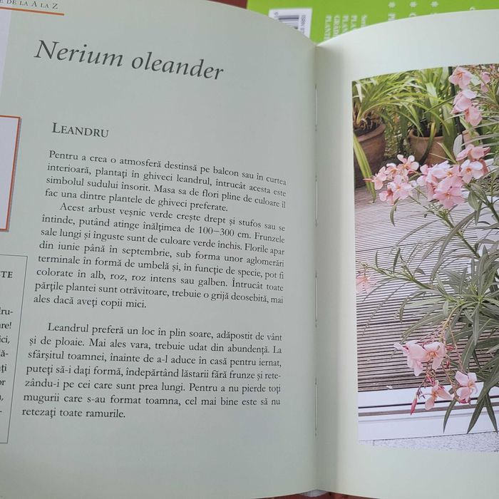 Pachet 5 cărți Dictionarul Dumont