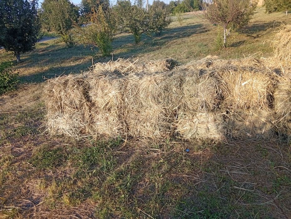 Hashak beda aralash  press 2-o'rim