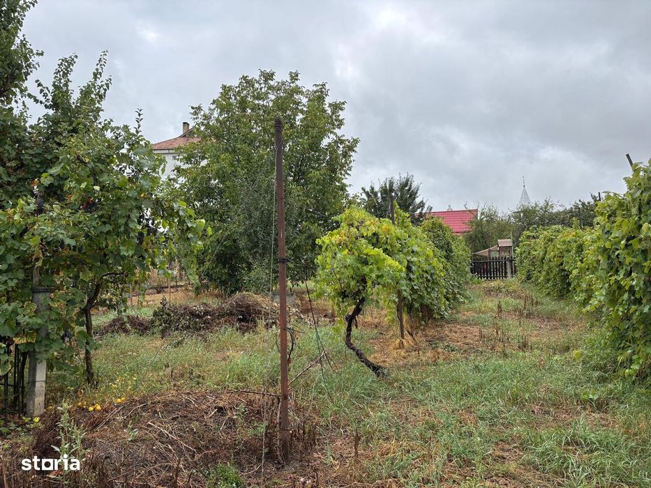 Casă zona centrală Sangeorgiu de Mures - 900 mp teren
