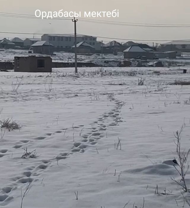 Шұбарсуда жер сатылады.