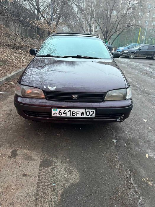 Карину Е можно в рассрочку!