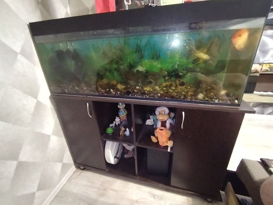 Аквариум на 300 литров