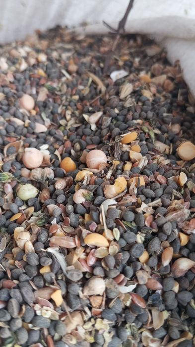 ОТходы ! (Хорошего качества)