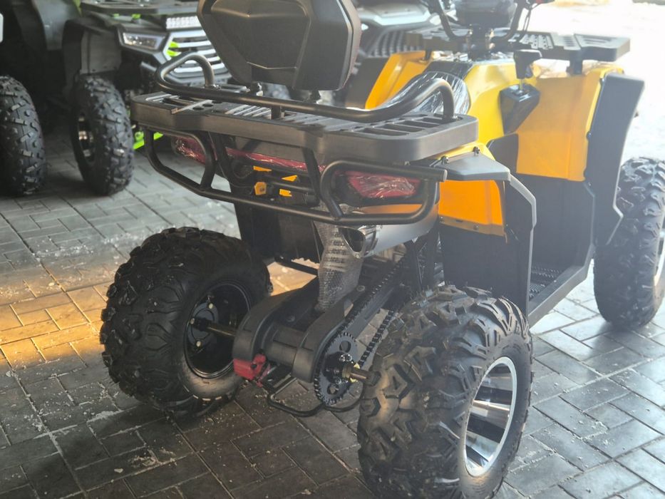 Квадроцикл викинг 250 про