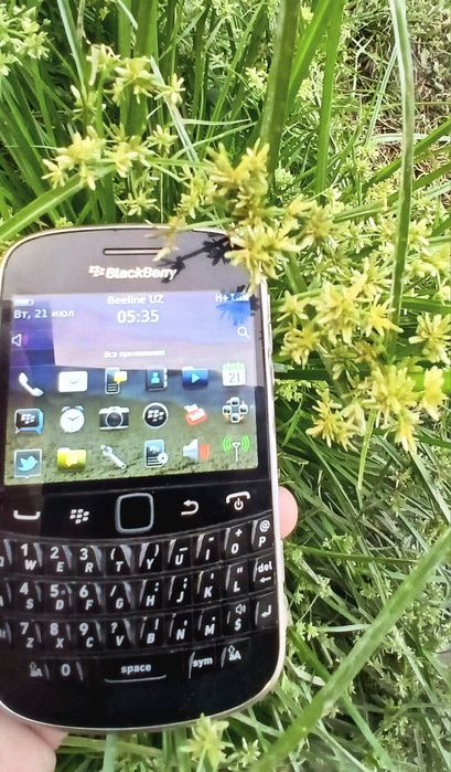 BlackBerry Bold 9900 Rogers