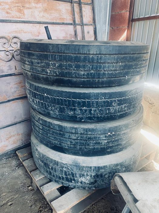 Шина все сезонка