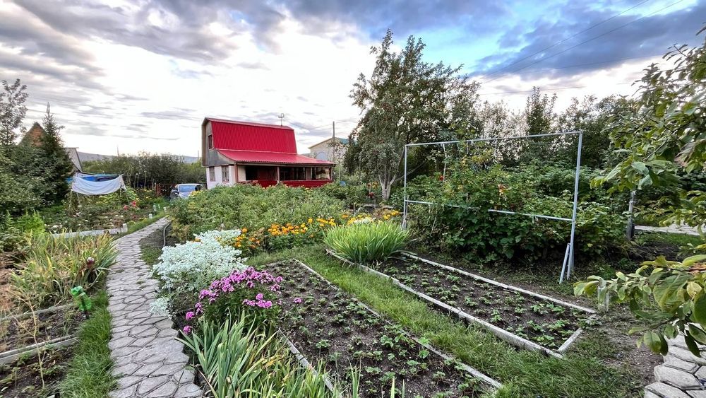 Продам дачу на Аблакетке (урожай)