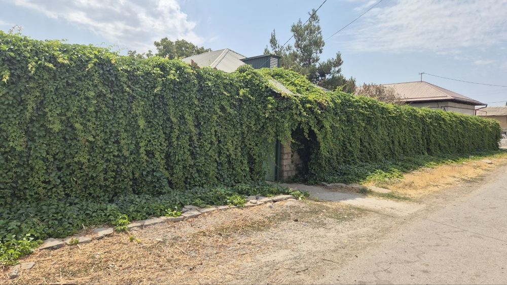 Участок 23 сотки, Новый Ташкентский район