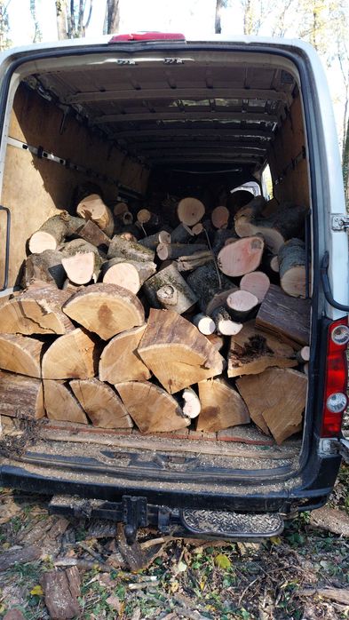 Lemne de foc esenta tare STEJAR, FAG, SALCAM