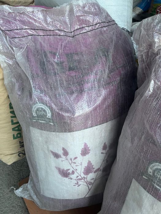 Жонашқа ұрық ,жүгері ұрық таза