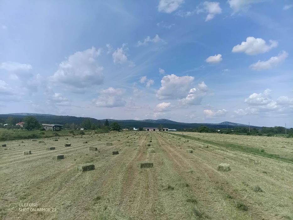 Продавам бали люцерна, и бали люцерна и трева