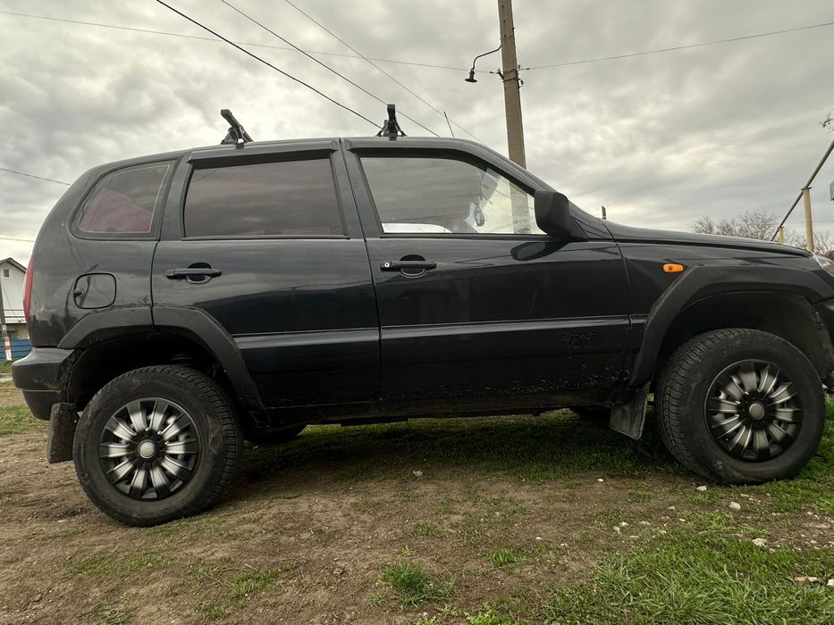 Шнива живая ездиет