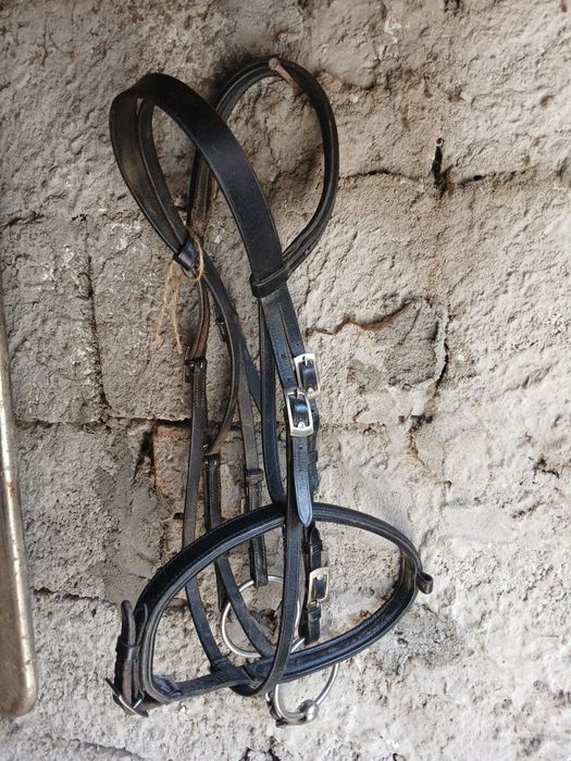 Vând căpăstru pentru (Cai ponei)