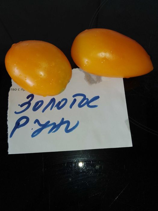 Семена за домати и други зеленчуци