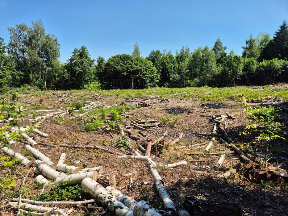 Teren intravilan de vanzare 3700m²