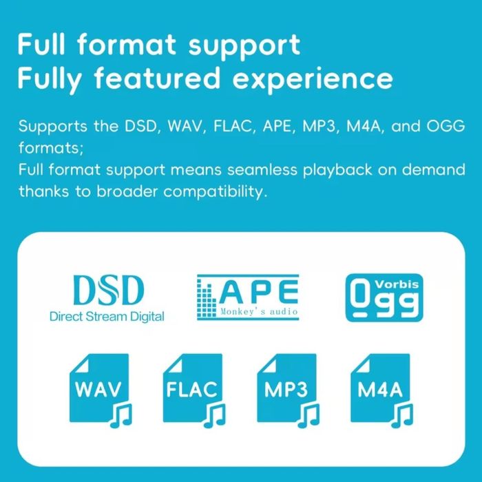 FiiO SnowSky echo mini