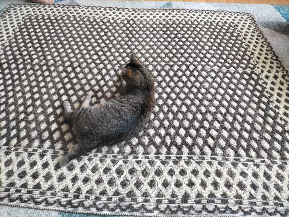 Cuvertura din lana țesută la razboi