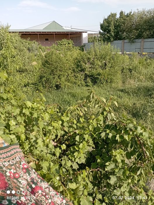 Срочно,,!Ховли сотилади иккита оила яшаши ун мулжалланган. Варианлар