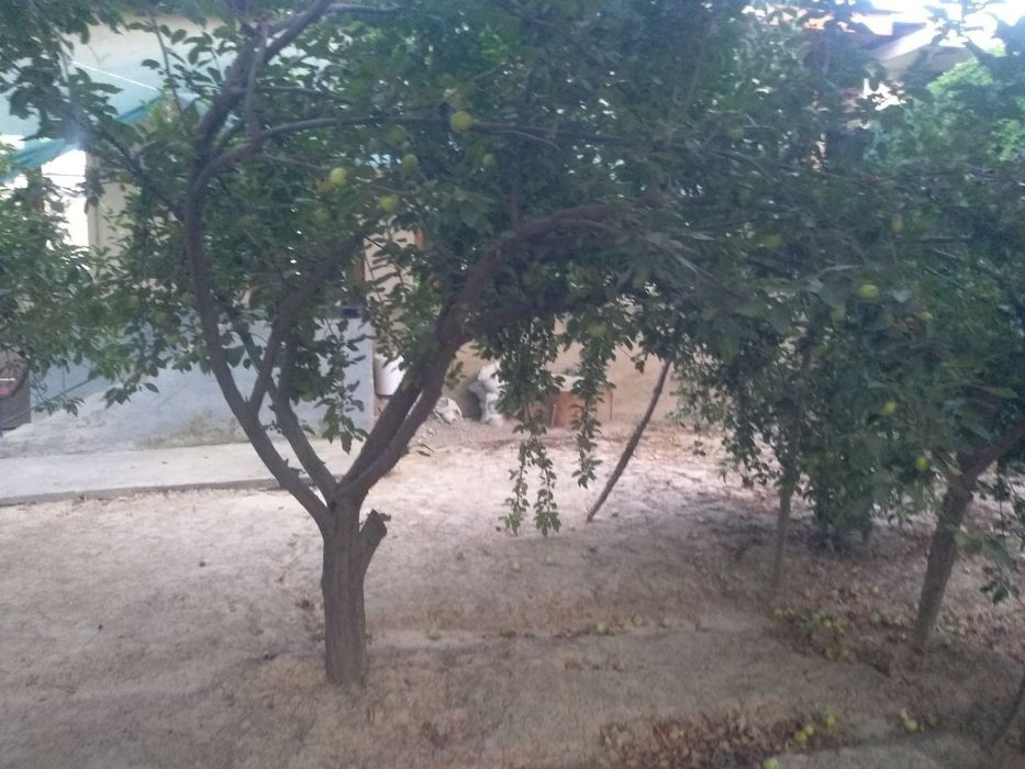 Quruq yer sotiladi Kirov olmazor 88-uy