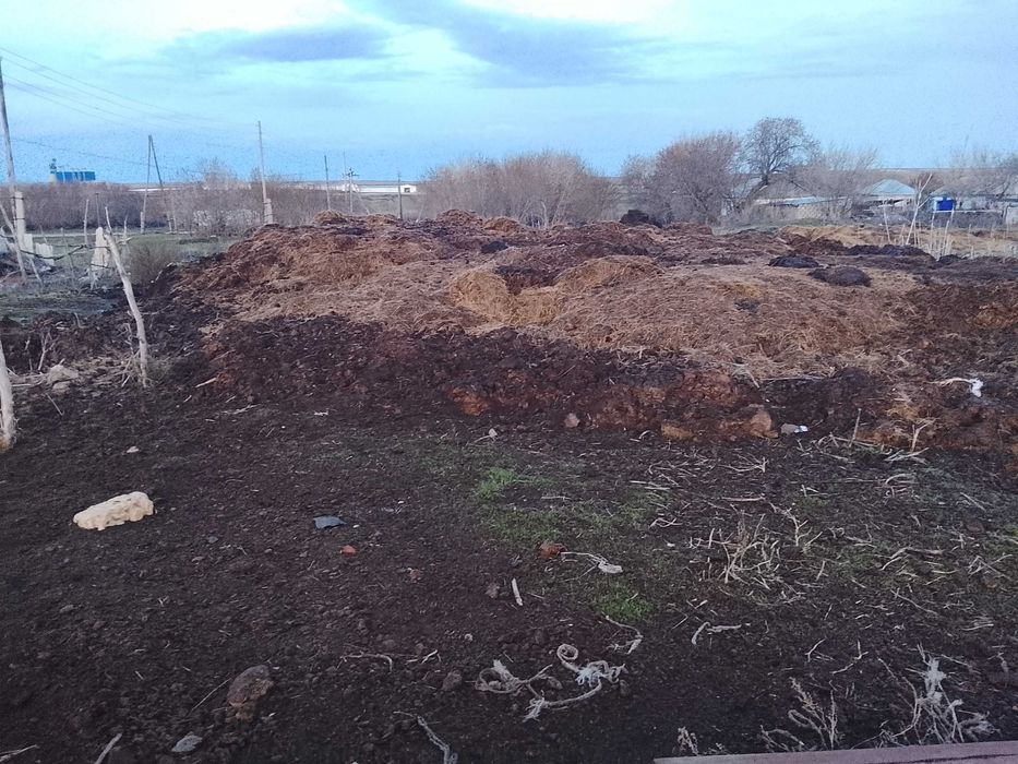 Навоз без антибиотика и никаких химикатов