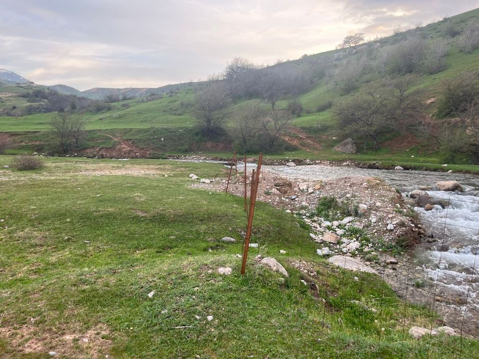 Жер ленгерде акмешит