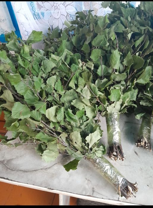 Продам веники берёзовые