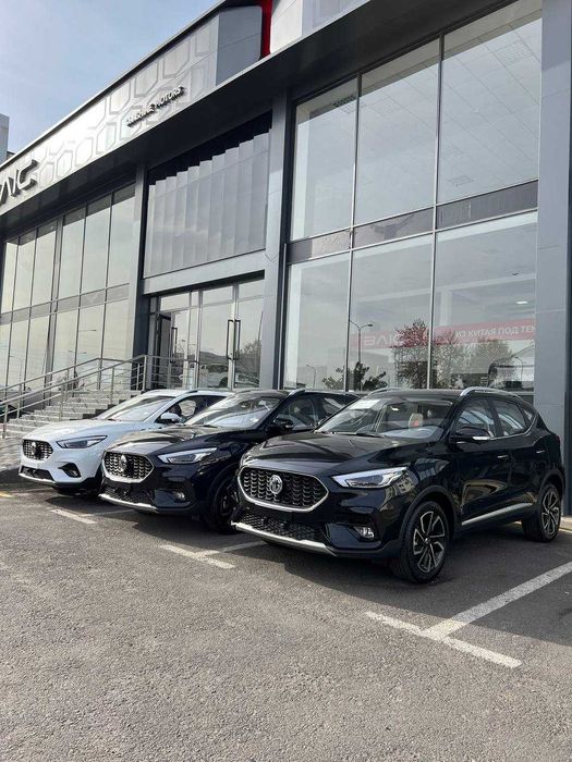 MG ZS -  Tracker va Sonet kushandasi