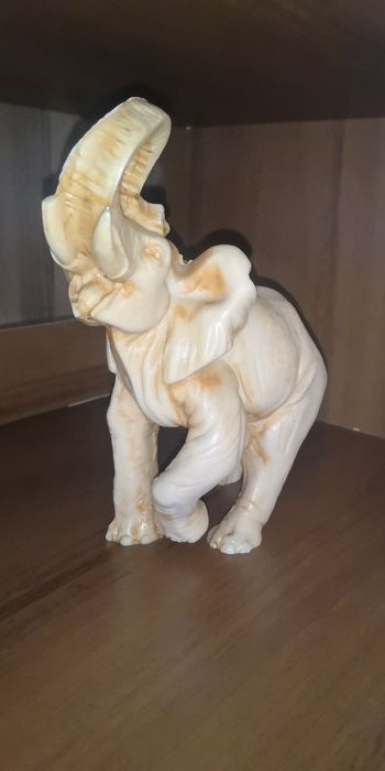 Elefanți răsina, frumoși
