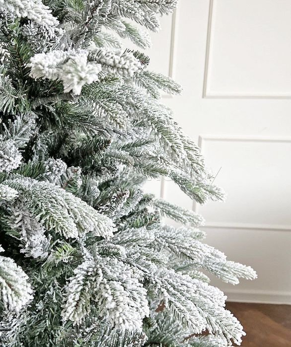 Ёлка северная натуральная