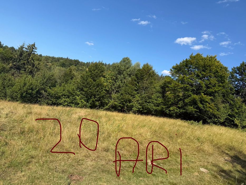 Vand teren extravilan / Zona Salatruc