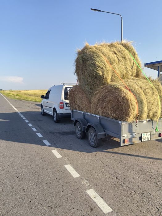 Грузоперевозки по всем направлениям!