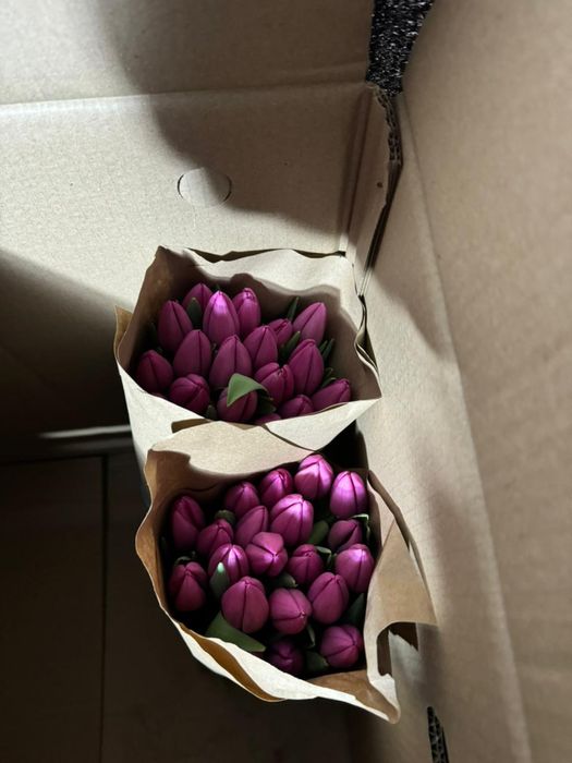 Тюльпаны в розницу 150 тг