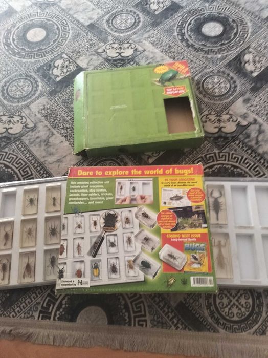 Lot 20 insecte în rășină