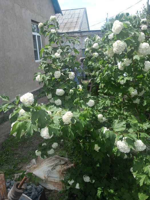 Продаётся дом 56кв.м