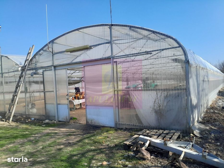 Ialomita - Se Vinde Teren 3100 Mp - Sat Rosiori