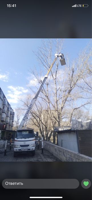 Спил деревьев,подрезка, кронирование!