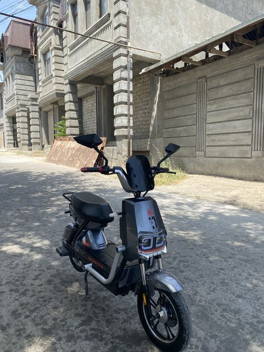 Skuter xolati zur