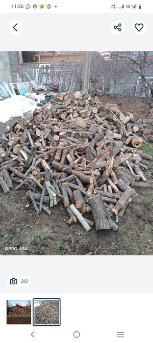 Қарағаштан отын сатылады, Наурызбай ауданында орналасқан