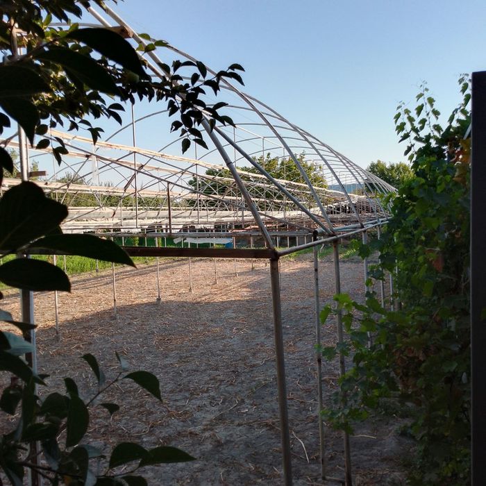 Парник 5 сотох сотилади