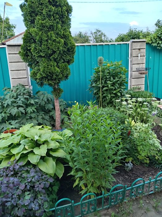 Продам дом-дачу состоящую из 7 комнат